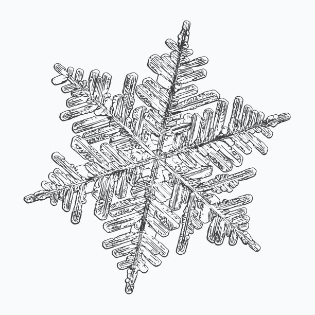 雪花孤立在白色的背景上图片下载