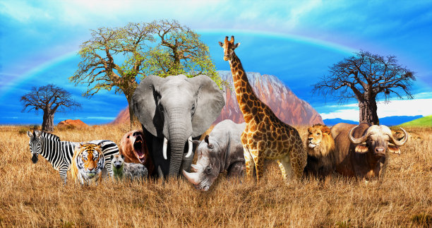 在非洲大草原上生活着许多不同的动物。3D壁纸的墙壁。3 d渲染。图片下载