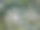 植物园内的公园小巷呈圆形。无人机拍摄的照片完全是从上空拍摄的。图片下载