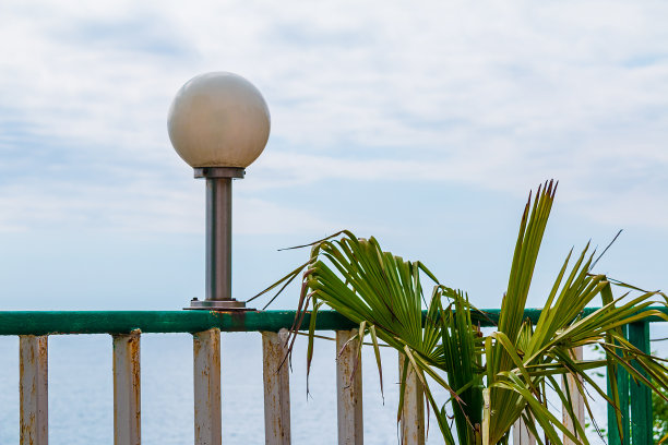 灯柱和棕榈叶特写图片下载