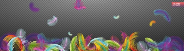 五彩缤纷的羽毛在透明的背景上旋转。轻盈可爱的羽毛设计。为设计元素。矢量插图。素材图片