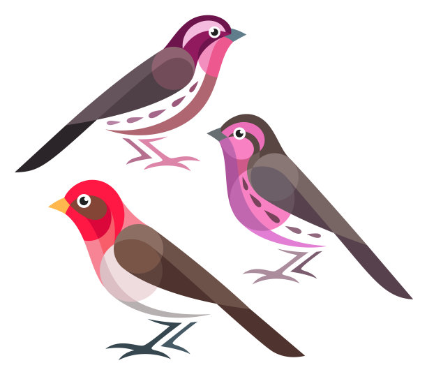 程式化的鸟类图片下载