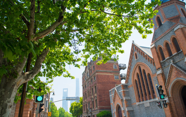 街道上的建筑和树木。图片下载