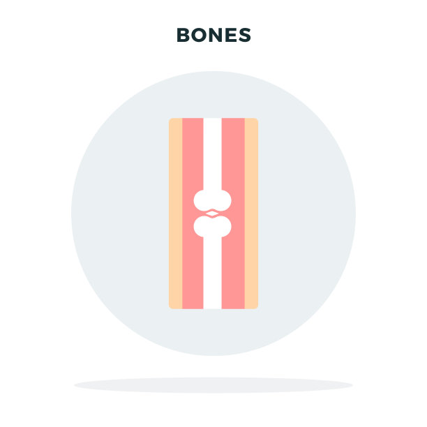 人的手骨在一个灰色的圆矢量平面孤立图片下载