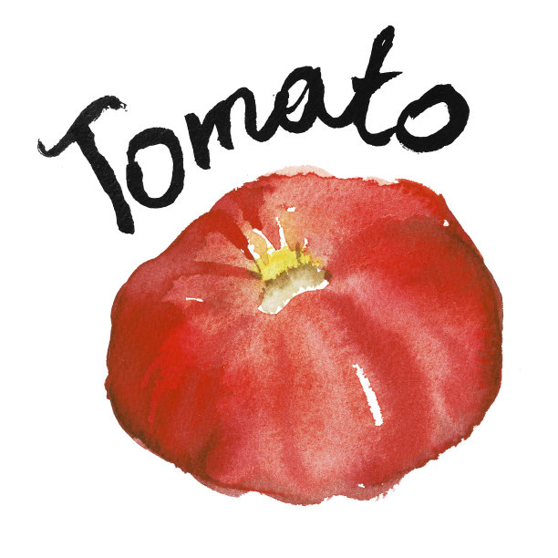 番茄水彩插画有机食品设计。图片下载