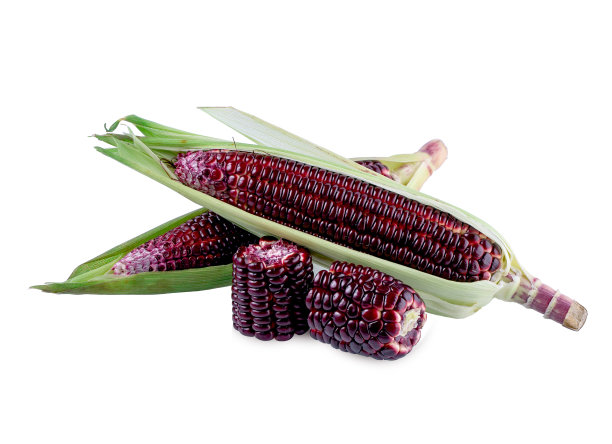 在白色背景上分离的新鲜紫色玉米图片下载