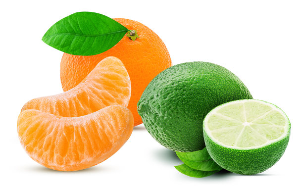 鲜桔子叶，两片青柠片，一个切成两半图片下载