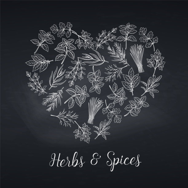 手绘草本和香料素描图片下载