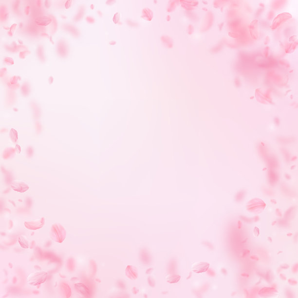 樱花花瓣飘落。浪漫的粉红色花朵小插画。飞舞的花瓣在粉红色的方形背景上。图片下载