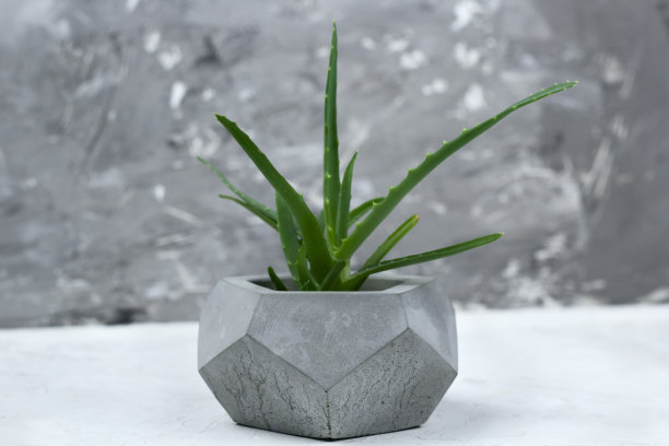 混凝土罐中多汁图片下载