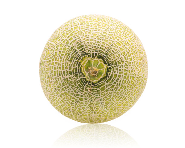 甜瓜，甜瓜片孤立在白色背景上。图片下载