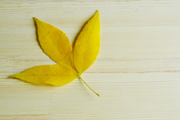 季节变化图片下载