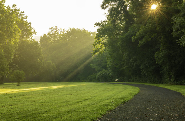 温暖的阳光图片下载
