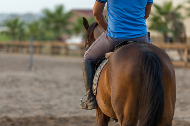 年轻人正在训练他的马图片下载