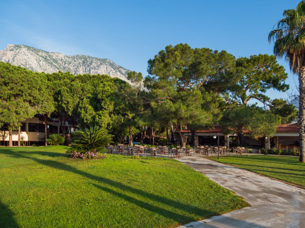 清晨入住酒店，这是土耳其东南部地区的典型。桌子和椅子在大松树下的露天。克姆,土耳其。图片下载