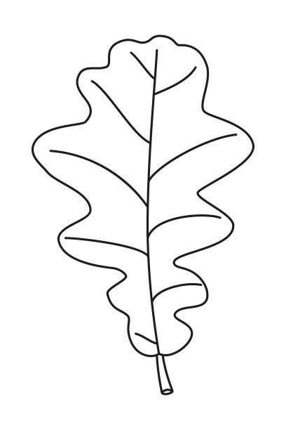 线条艺术黑白不对称的橡树叶图片下载