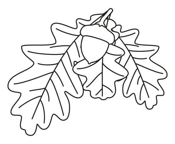 线条艺术黑白橡树枝图片下载