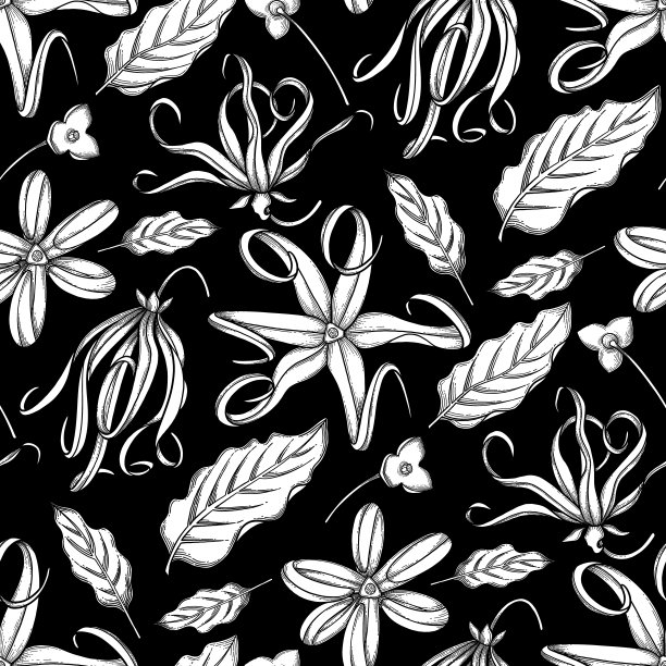 •1/2]3/42]1/2 2 2 GB图片下载