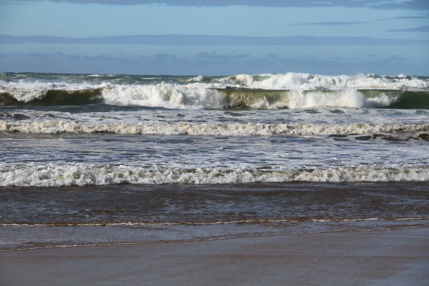 梅mécontente图片下载