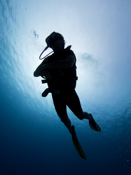 silhuette阻力。图片下载