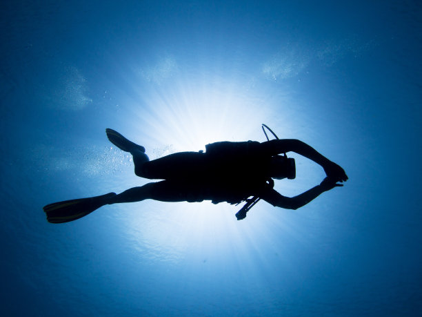 阳光silhuette潜水员图片下载