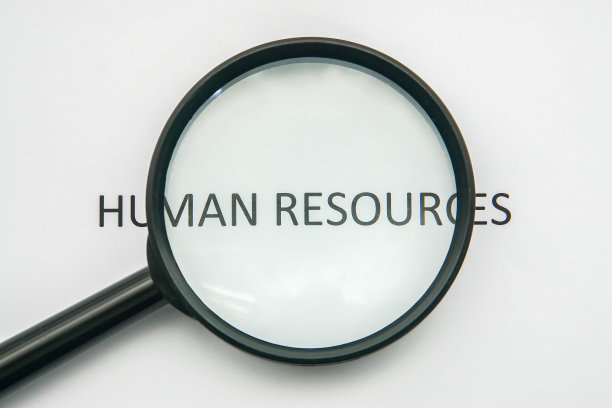 为公司员工寻找人力资源图片下载