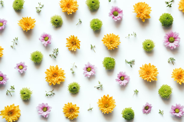 花图案在白色的背景图片下载