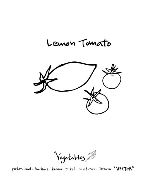 食品菜单插图图片下载