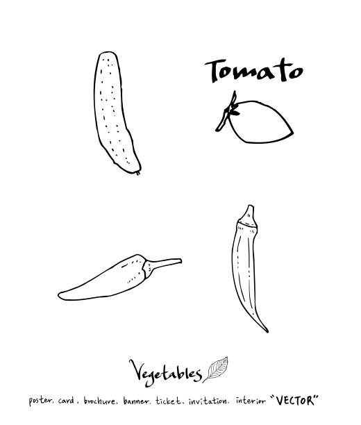 食品菜单插图图片下载