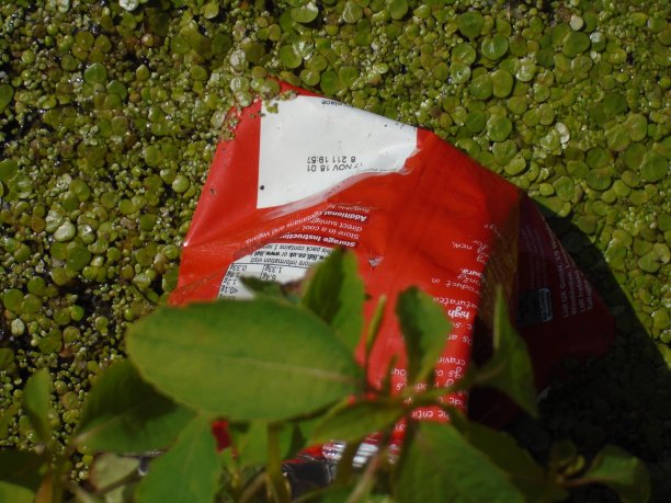 垃圾在河图片下载