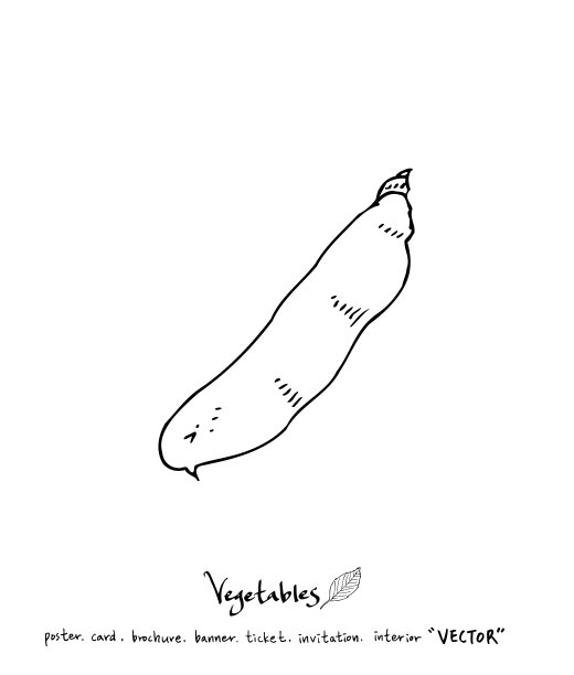 食品菜单插图图片下载