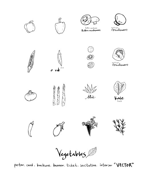 食品菜单插图图片下载