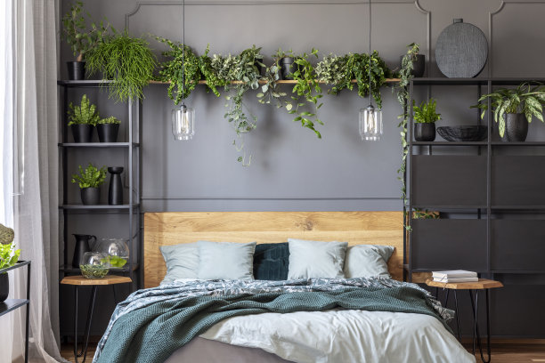 绿色的毯子和灰色的枕头放在带有植物的花卧室的木床上。真实的照片图片下载