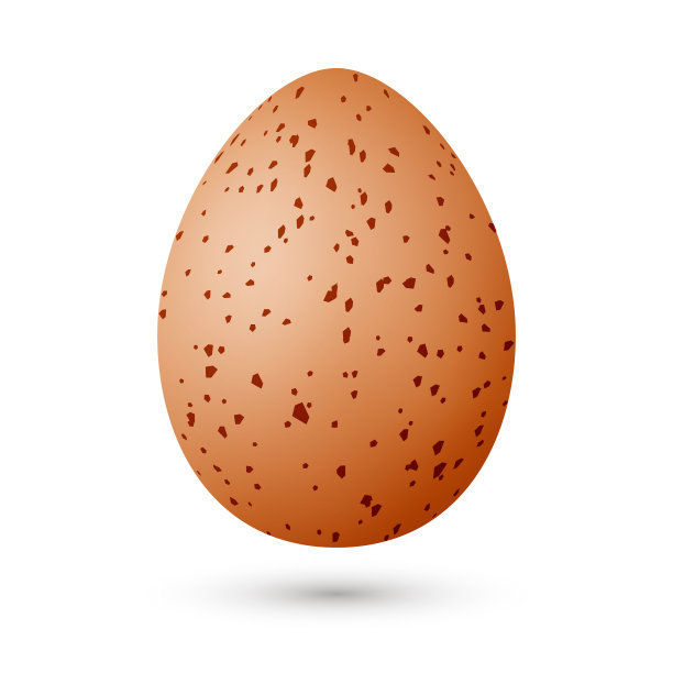 真实的鹌鹑蛋孤立在白色。鸡蛋用点。矢量插图。复活节的设计。图片下载