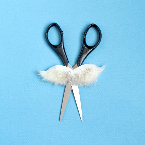 十一月是胡子的季节。白胡子剪刀图片下载