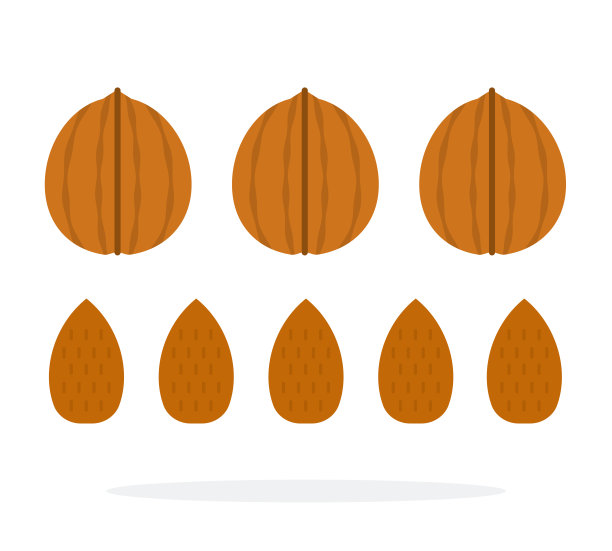 核桃和杏仁在一壳内并排成一排扁平孤立图片下载