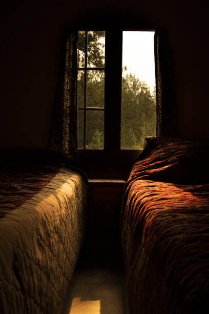 幽居病图片下载