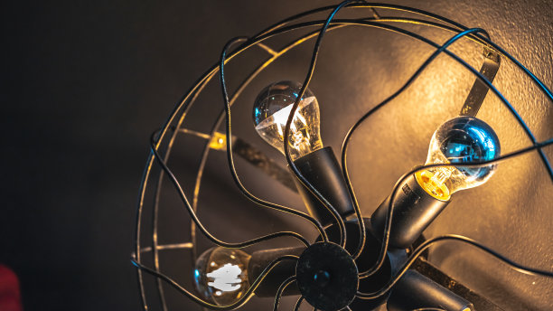 的照片图片下载