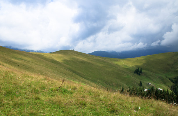 绿色的山谷，绿色的森林，山顶，小房子和牛图片下载