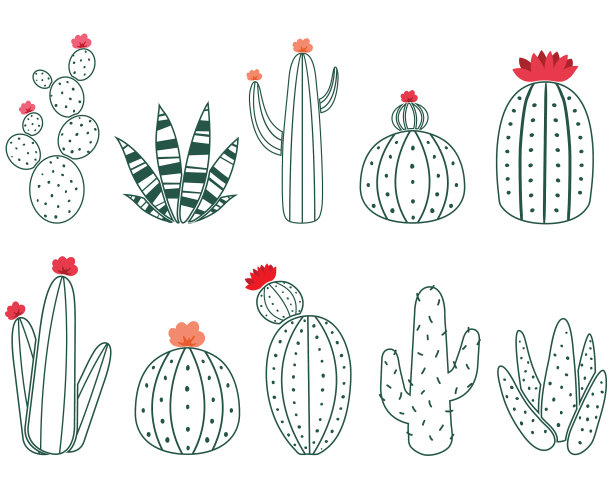 仙人掌涂鸦集合集图片下载