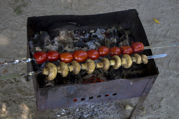 蘑菇和西红柿做成的烤肉串。烧烤。炭。图片下载