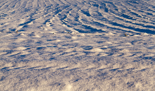 照片雪,特写图片下载