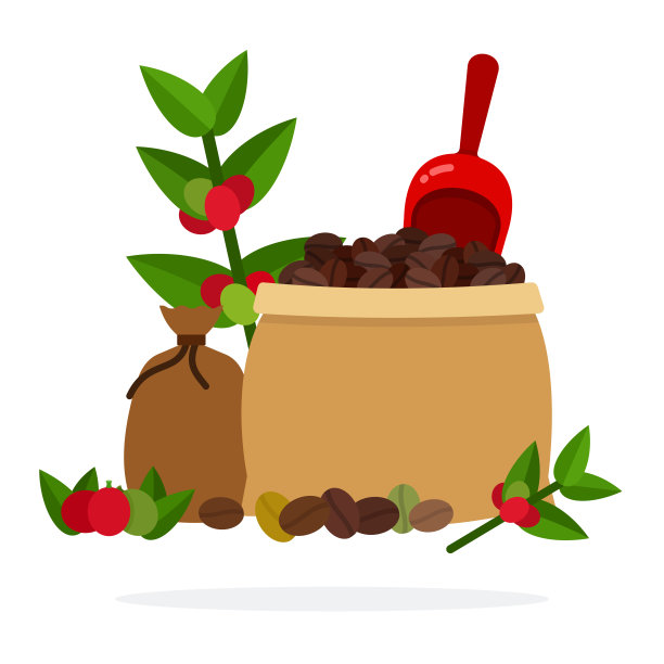 用开袋的咖啡豆、咖啡铲和封闭袋的咖啡载体平隔离图片下载