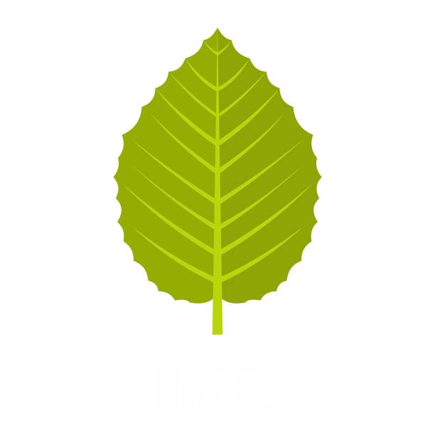 榛叶图标，扁平风格图片下载