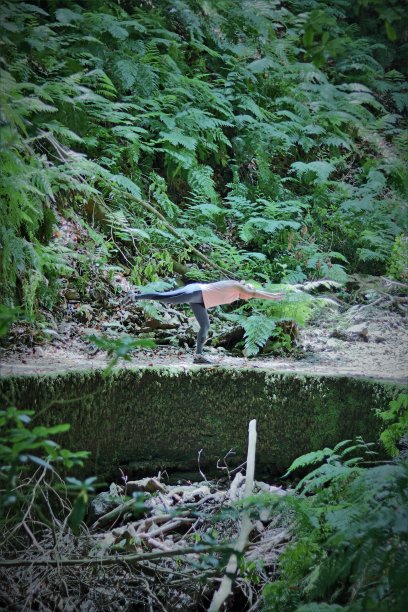 在丛林里做瑜伽的女人图片下载