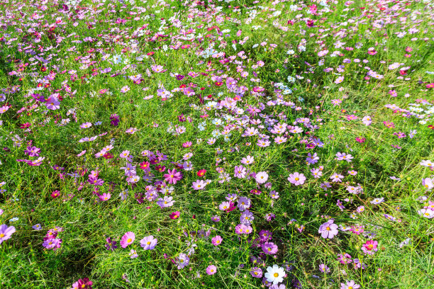 韩国宇宙陨落图片下载