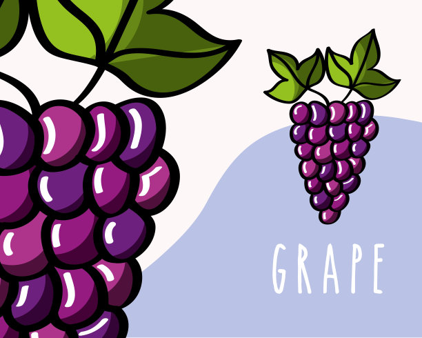 葡萄，水果，热带，新鲜，自然的颜色背景图片下载