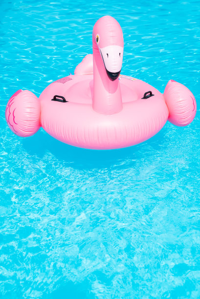 火烈鸟图片下载