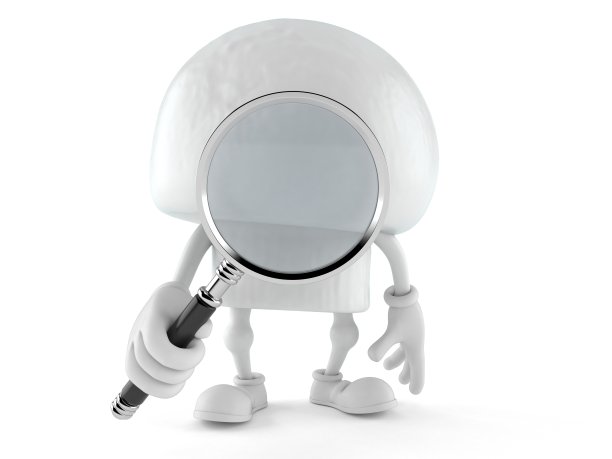 通过放大镜看香槟的性格图片下载