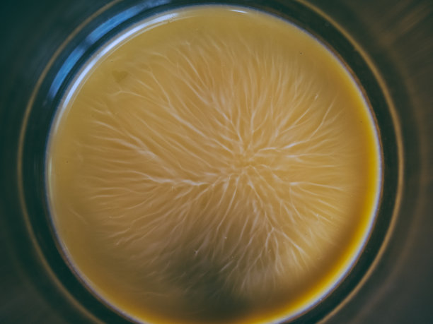 在这张特写图片中，一个放着奶茶的玻璃杯被放置了很长时间并冷却了。泡沫上的线条形成了图案图片下载